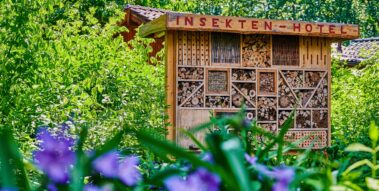 ein Insektenhotel